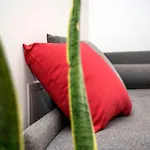 شقة Camelot Red - *